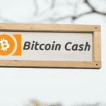 Bitcoin cash support 1 150x150 - Bitcoin Cash : Các ông lớn Trung Quốc đã nhảy vào cuộc chơi
