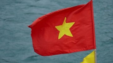 1 364x205 - FFT News: Video hướng dẫn bằng tiếng Việt đã có trên trang web!