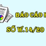 BAO CAO HYIP 0504
