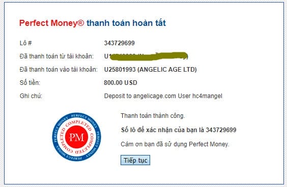 angelic payment proof
