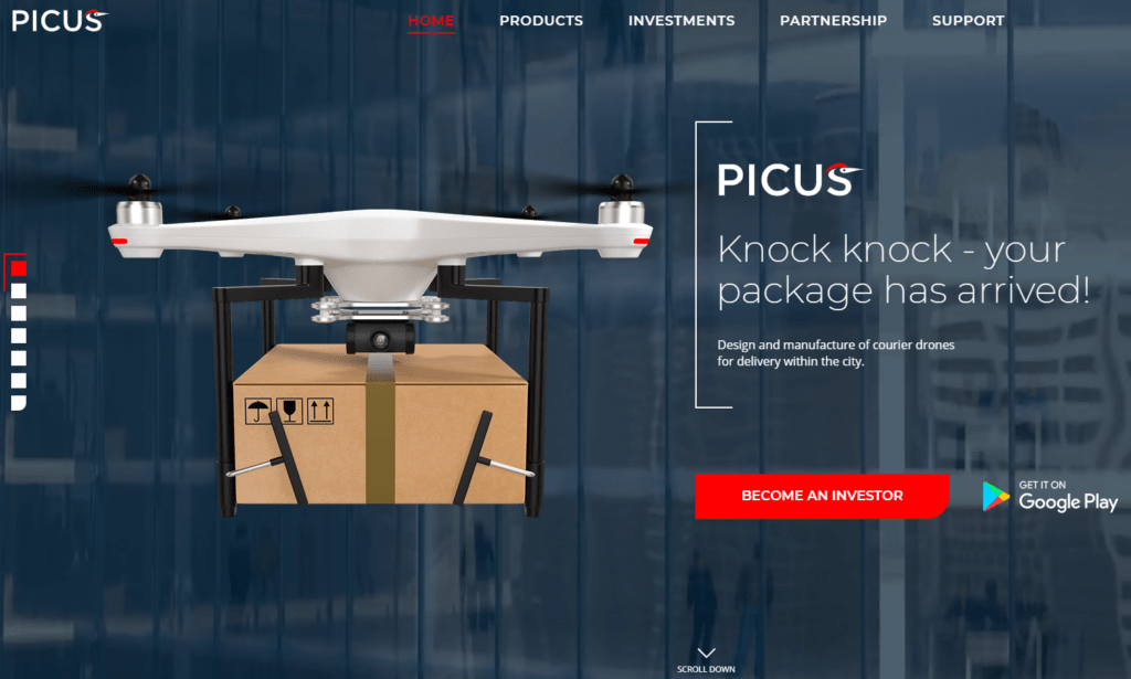 picus review