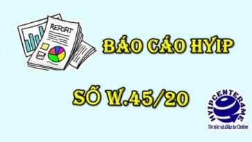 bao cao w45