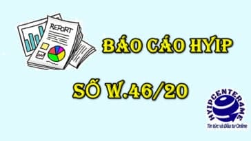 bao cao w46