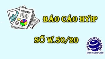 bao cao w50