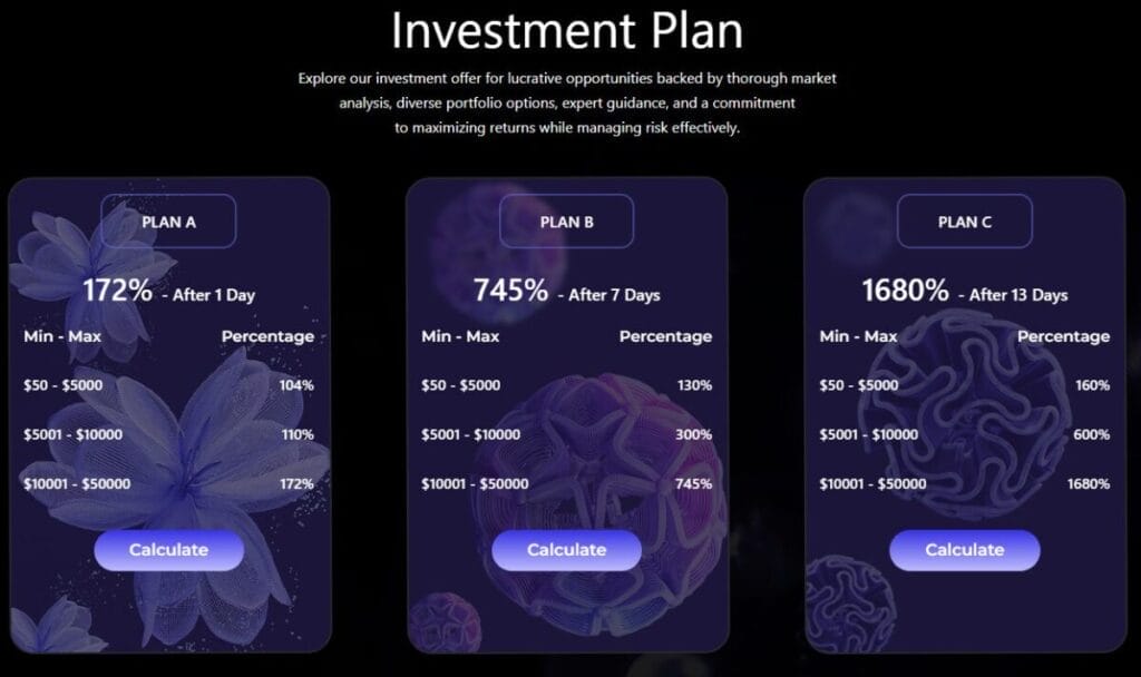 bitlom plans