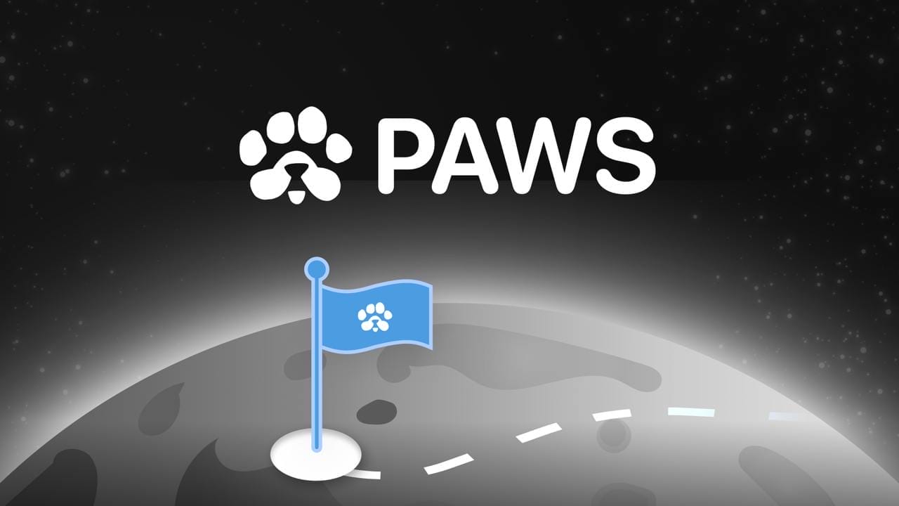 paws token (2)